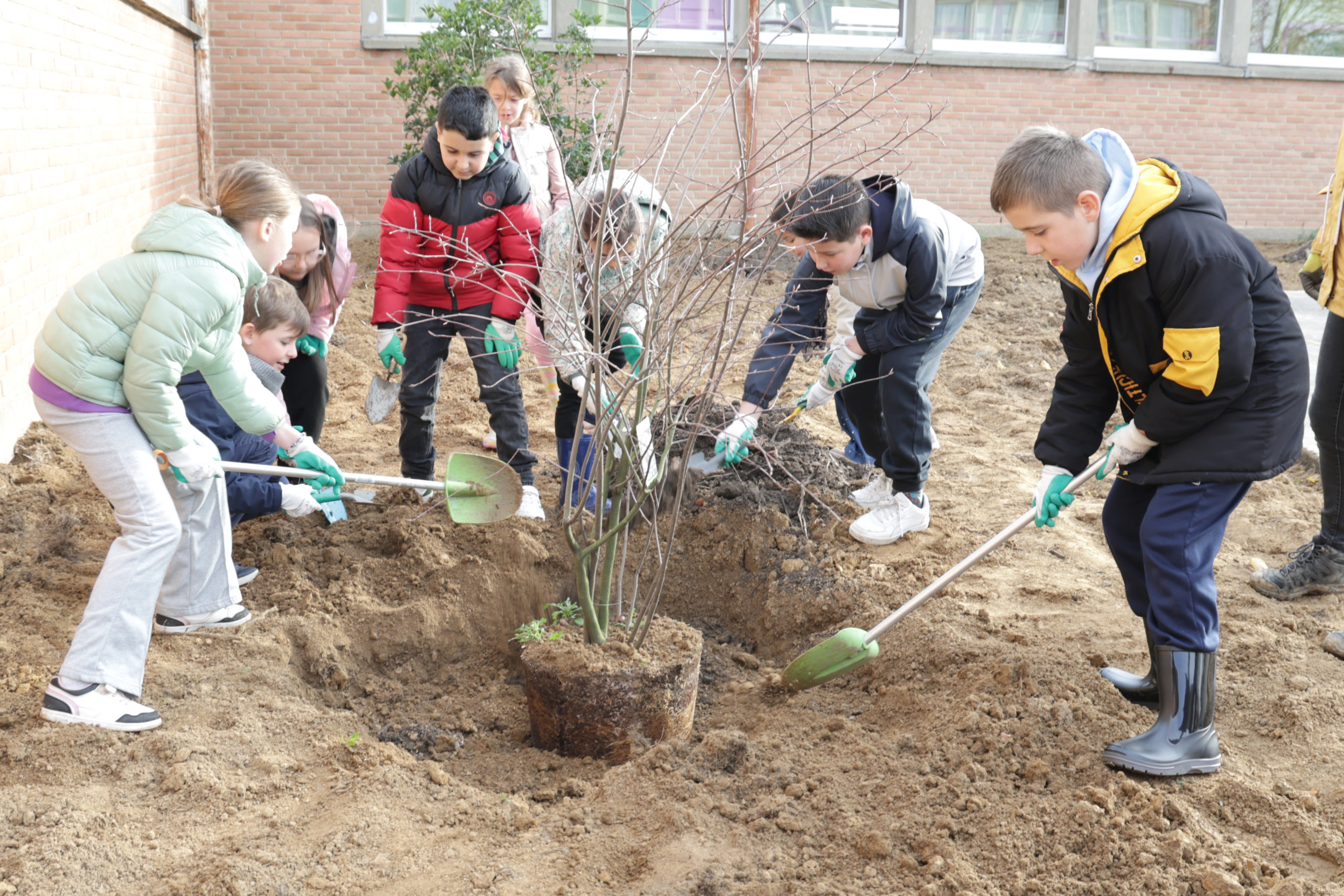 Parc ladoumegue plantation avec les enfants